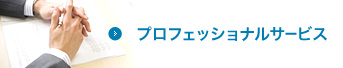 プロフェッショナルサービス